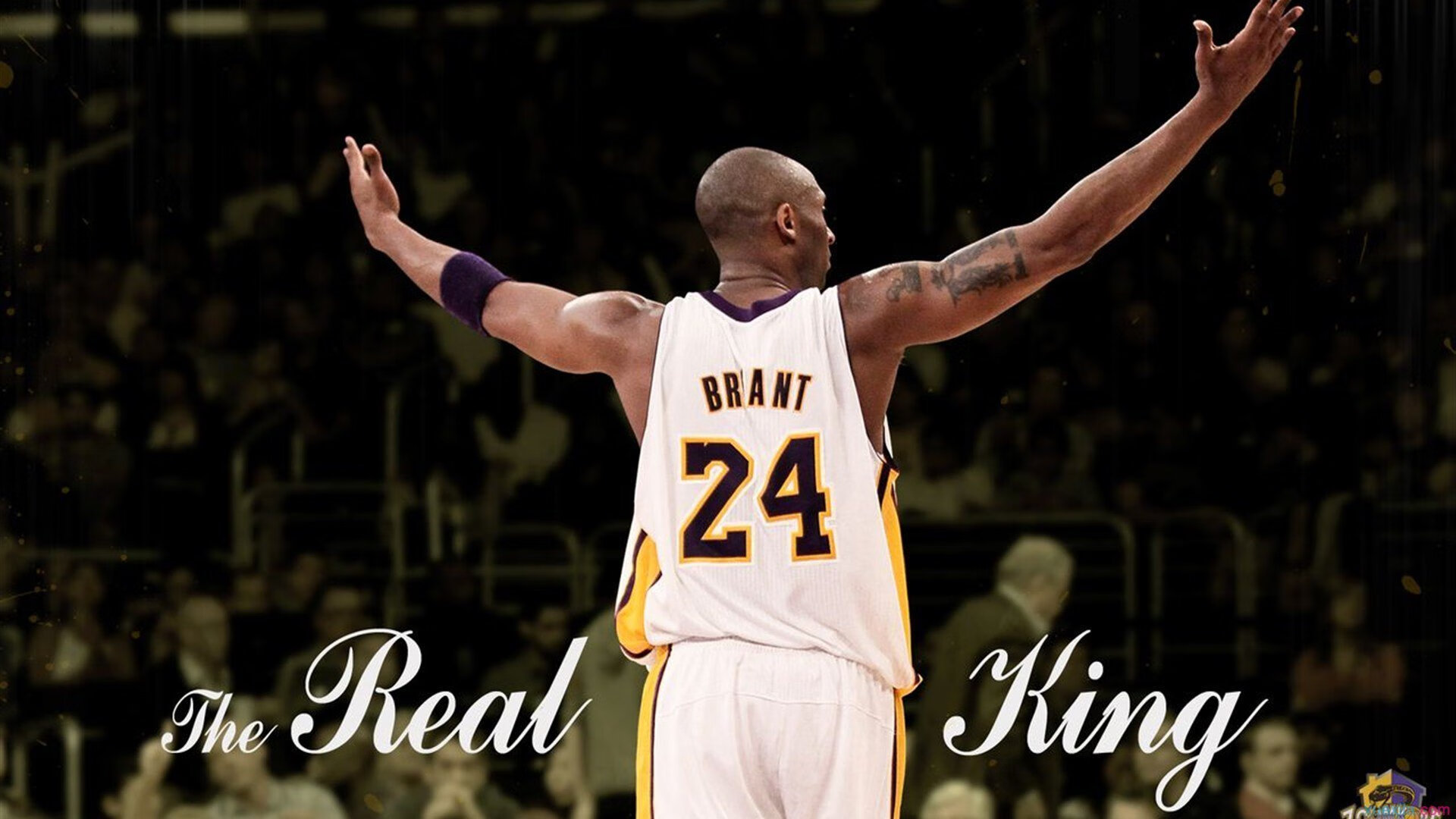 绿色环保篮球:联盟推动低碳运动新理念,绿色低碳节能环保的标语